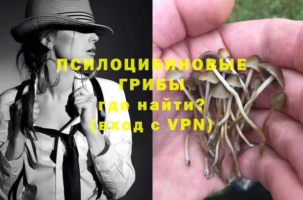 СК Горняк
