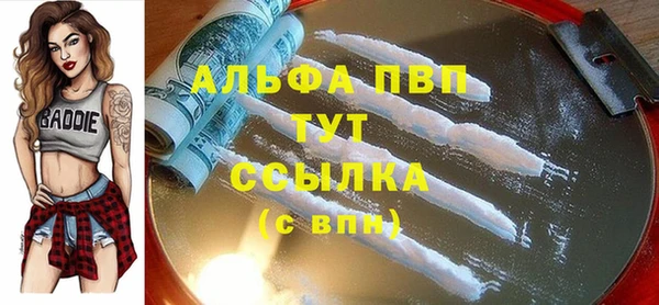 СК Горняк