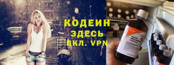 ешки Вяземский