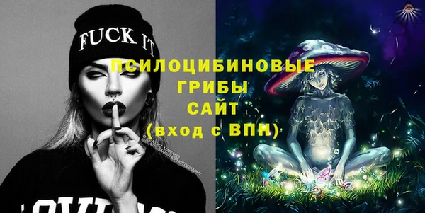 СК Горняк