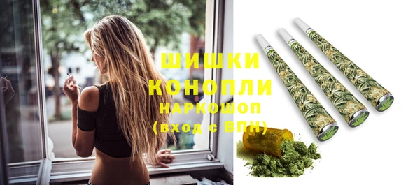ешки Вяземский