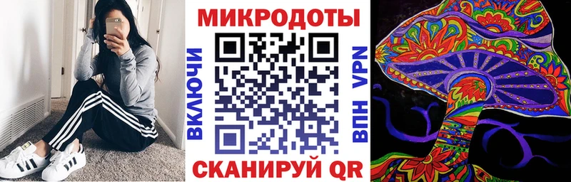 Купить где Кинель Псилоцибиновые грибы GOLDEN TEACHER